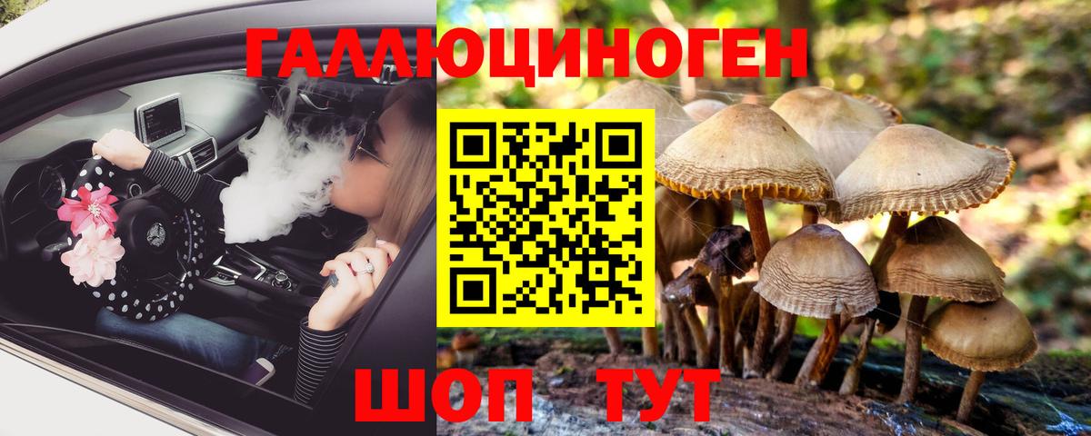 Псилоцибиновые грибы прущие грибы  Вход с VPN  Ревда 